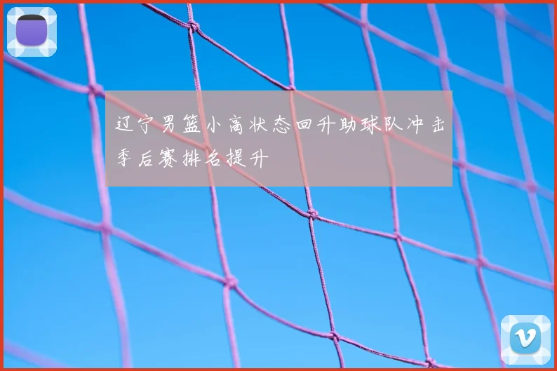 辽宁男篮小高状态回升助球队冲击季后赛排名提升