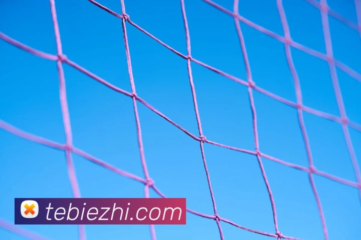 爱游戏ayx在线登录品牌故事